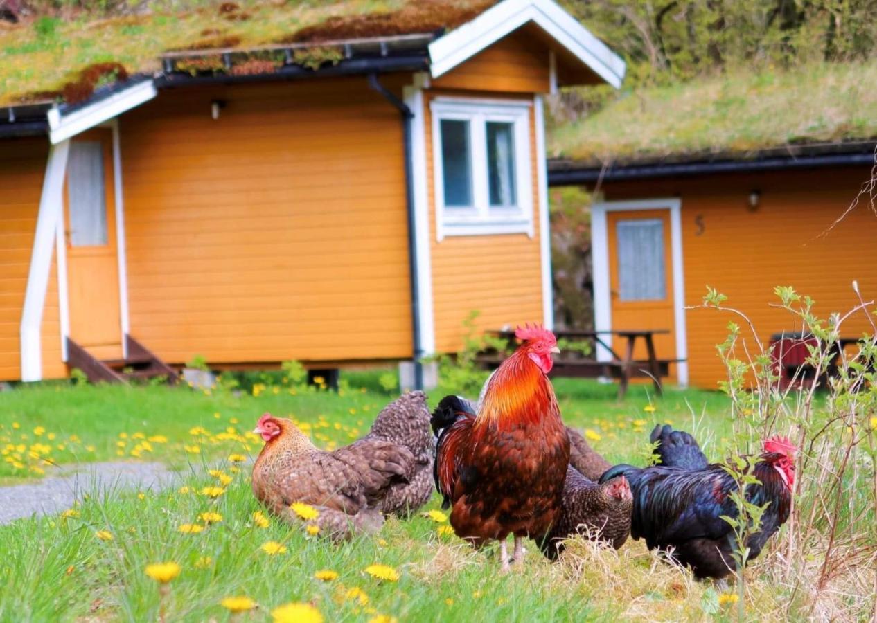 Fosseland Gjestegard Feda Eksteriør billede